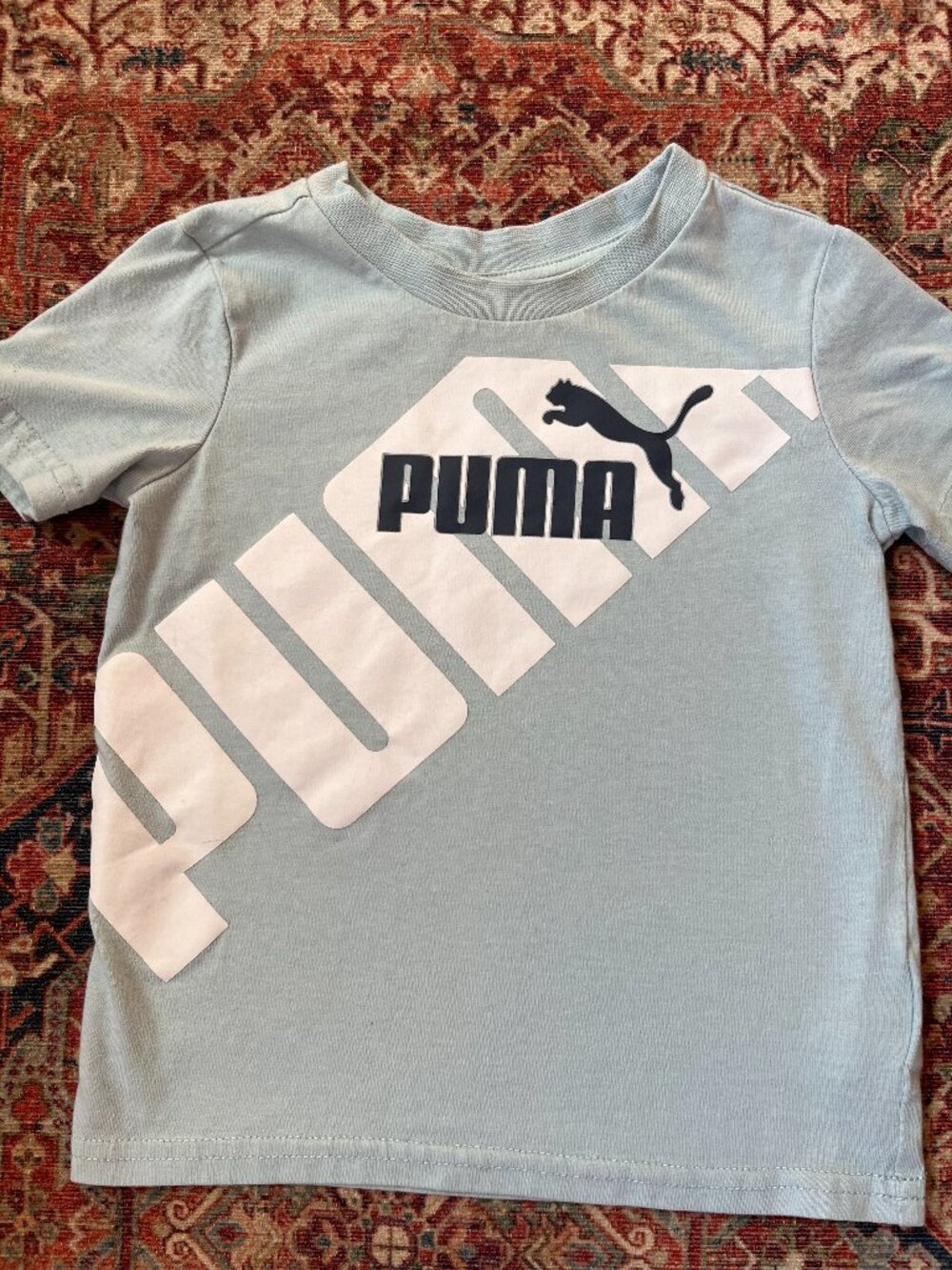 Ice Blue Puma T-shirt